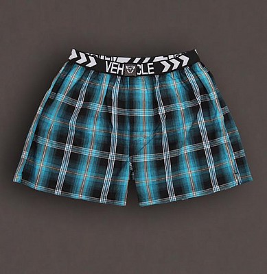 Trenky Vehicle Plaid