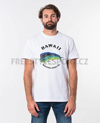 Triko RIP CURL DESTINATION SURF S/S TEE