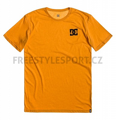 Triko pánské DC SOLO STAR SS M TEES