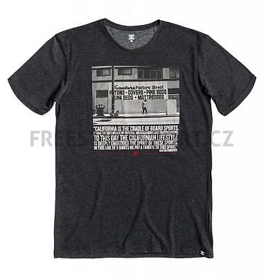 Triko pánské DC DANNY SS L TEES