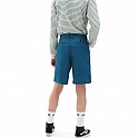 Kraťase VANS MN AUTHENTIC STRETCH SHORT