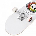 Komplet skate BLIND Rasta Reaper FP Complete 8,125