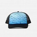 Kšiltovka RIP CURL WEEKEND TRUCKER