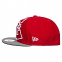 Kšiltovka DC COVERAGE II M HATS