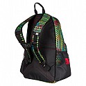 Batoh DC NELSTONE PRINT 25L