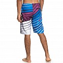 Boardshort DC FINISH SOON 21 M BDSH