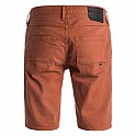 Kraťase pánské DC COLOUR SHORTS M DNST
