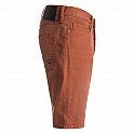 Kraťase pánské DC COLOUR SHORTS M DNST