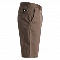 Kraťase pánské DC WORKER STRAIGHT SHORT 20.5