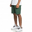 Kraťase DC WORKER STRAIGHT M WKST GRW0