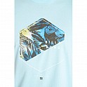 Triko pánské BILLABONG ENTER SS TEE