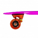 PENNYBOARD FISBOARD MEXICAN NILS EXTREME