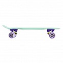 PENNYBOARD FISHBOARD MINT NILS EXTREME