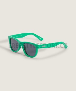 Brýle VANS SPICOLI SUNGLASS VIVID VERDANT